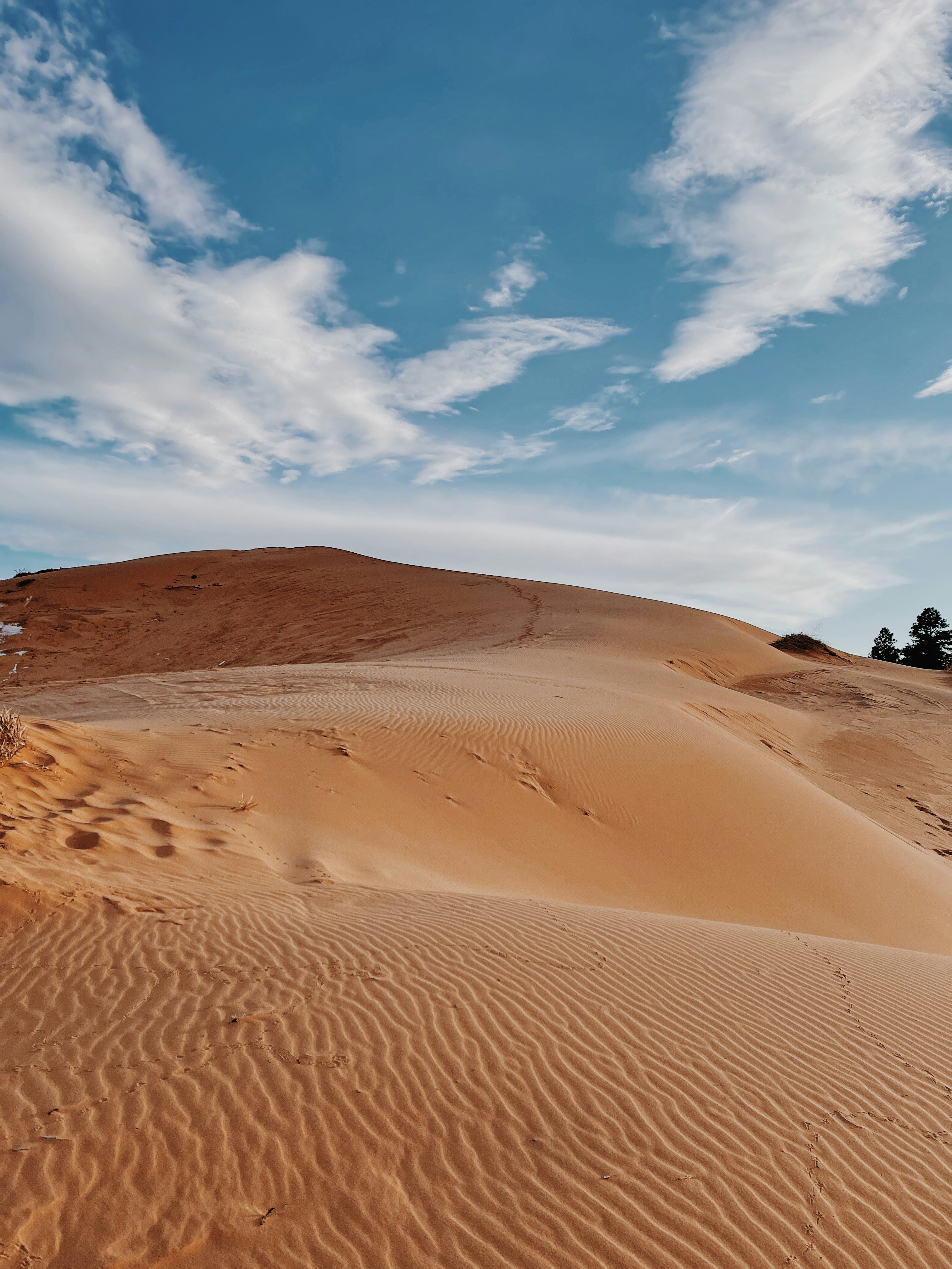 brown sand under blue sky during daytime